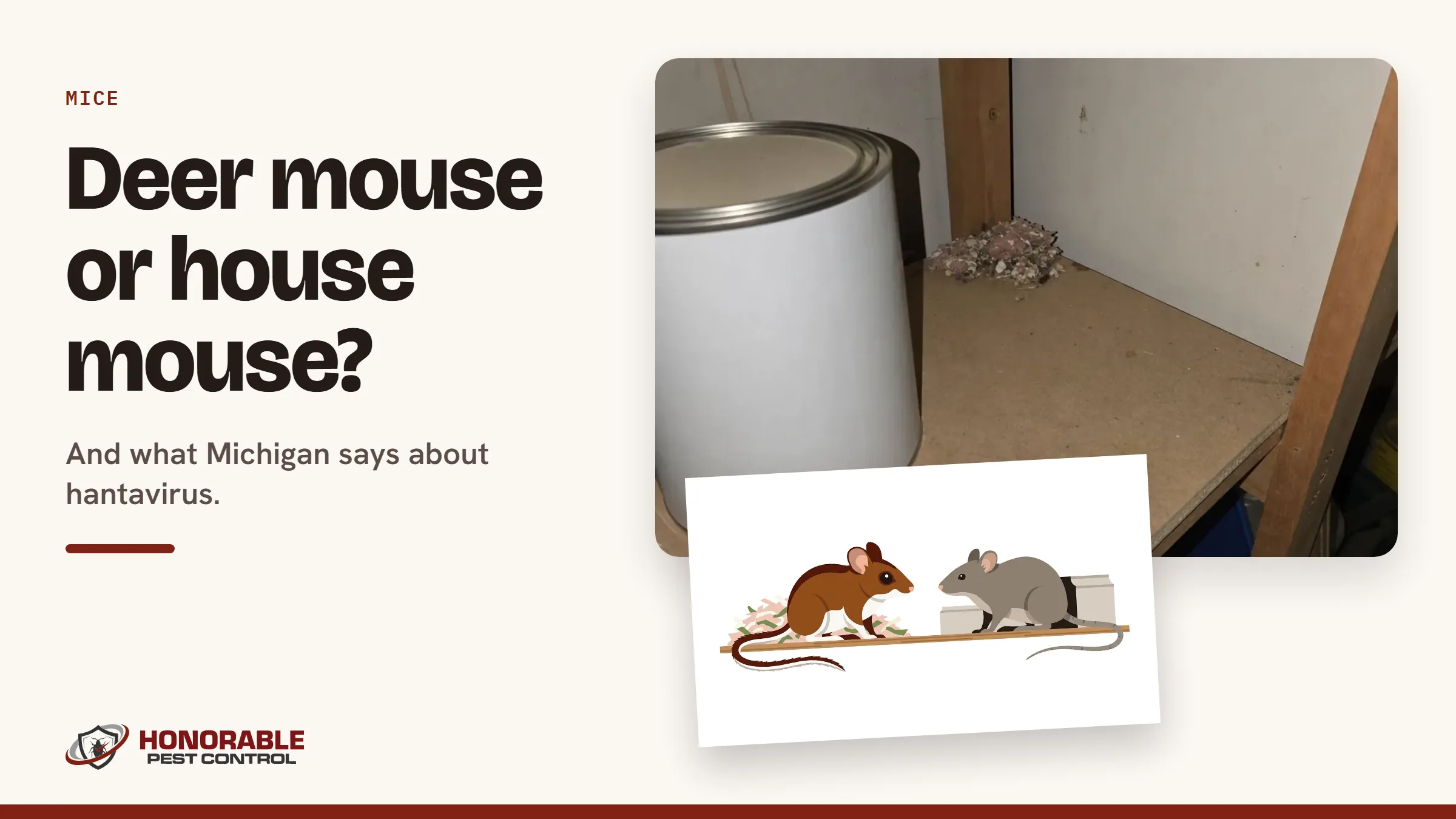 Blog cover reading "Deer mouse or house mouse?" with a photo of a mouse nest on a garage shelf and a drawing from the post