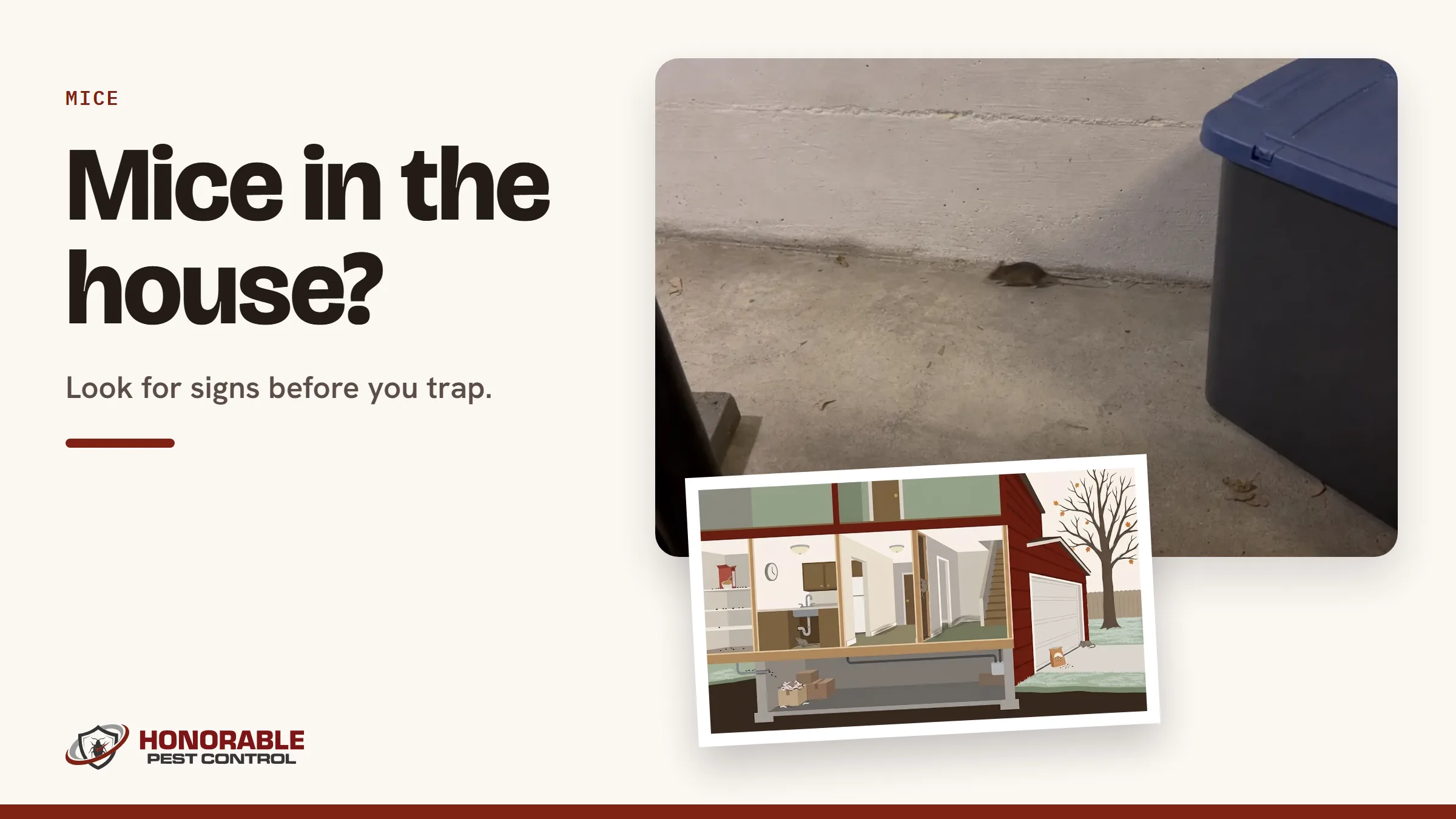 Blog cover with the signs of mice drawing from the post and a photo of a house mouse along a basement wall