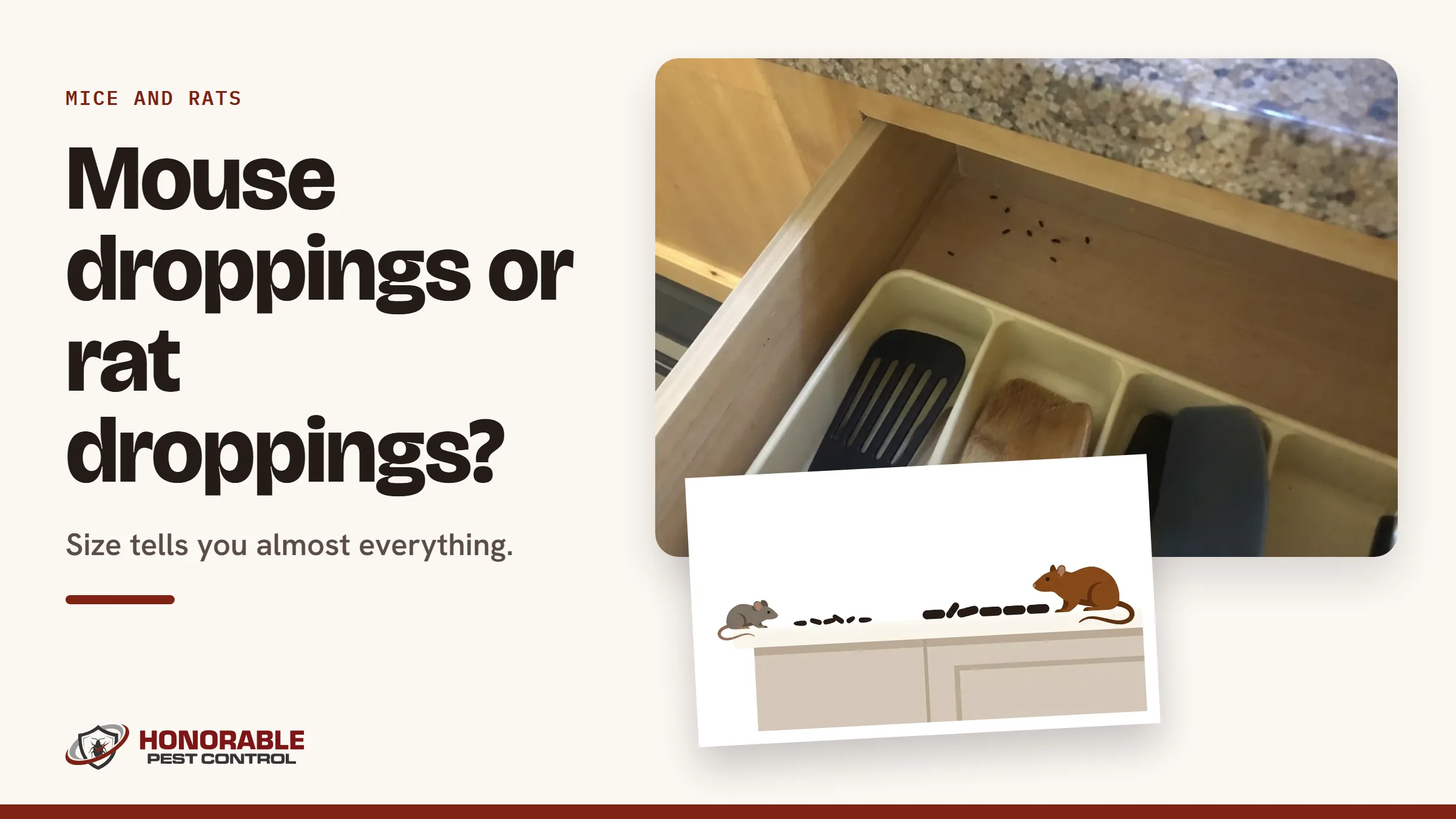 Blog cover reading "Mouse droppings or rat droppings?" with a photo of mouse droppings in a kitchen drawer and a drawing from the post
