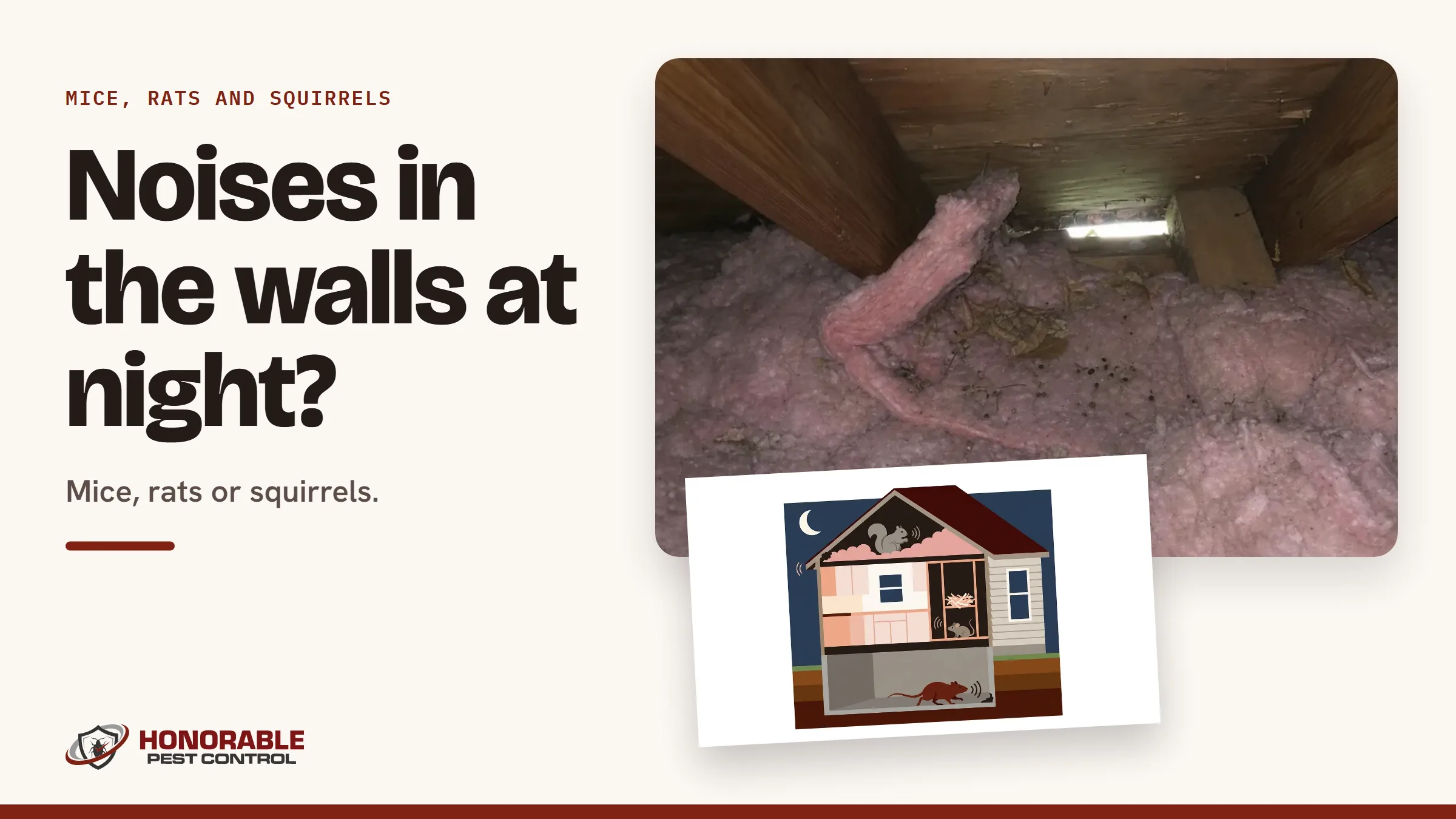 Blog cover reading "Noises in the walls at night?" with a photo of attic insulation disturbed by squirrels and a drawing from the post
