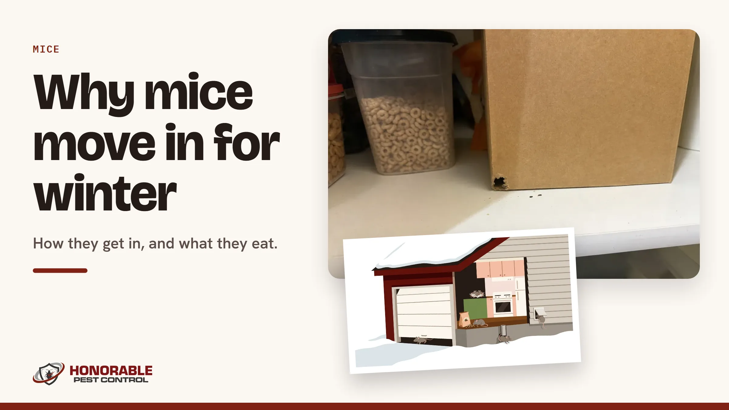 Blog cover reading "Why mice move in for winter" with a photo of a cereal box chewed by mice on a pantry shelf and a drawing from the post