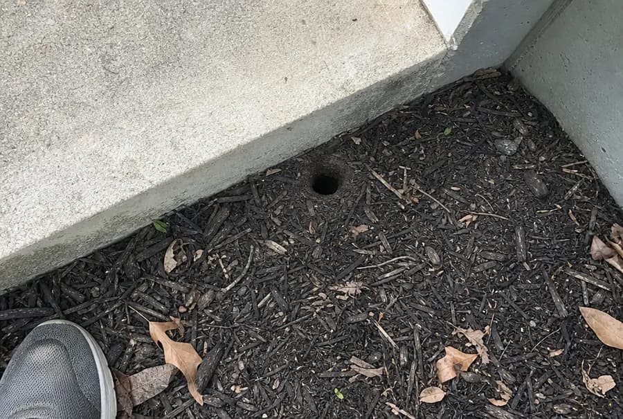 A clean round chipmunk burrow hole in the ground beside a front step