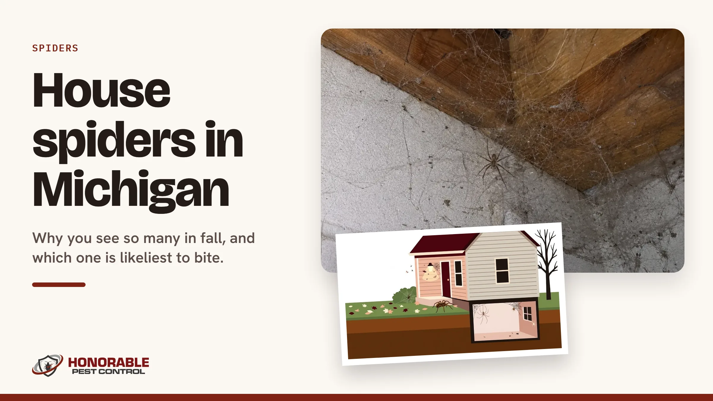 Blog cover reading "House spiders in Michigan" with a photo of a spider and cobwebs in a basement corner and a drawing from the post