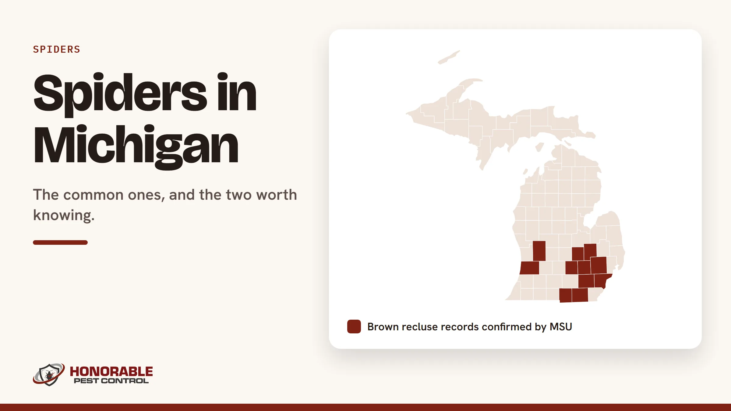 Blog cover reading "Spiders in Michigan" with a Michigan county map from the post