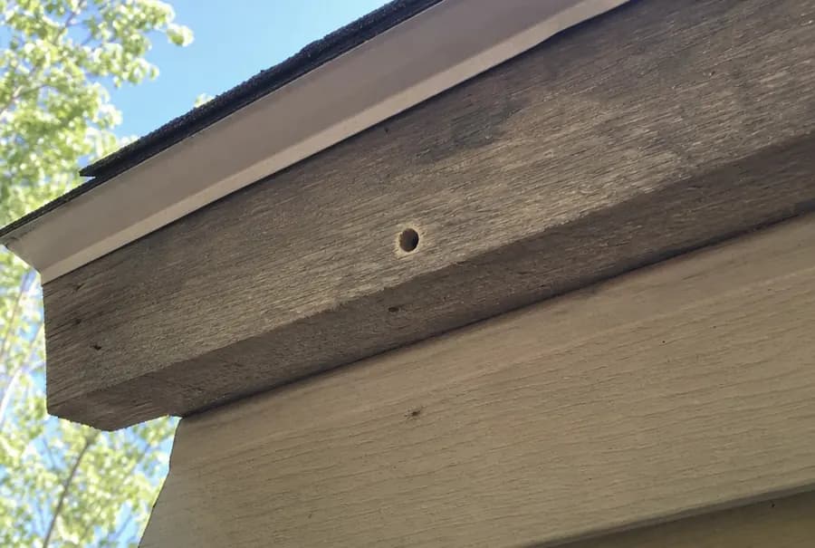 A single clean round hole the width of a finger in a bare wooden fascia board