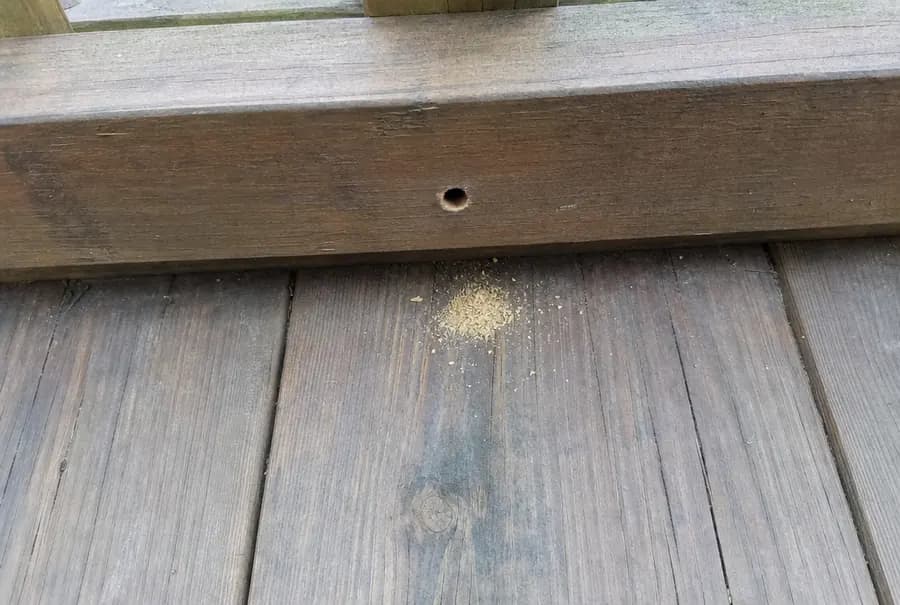 A small pile of coarse sawdust on deck boards below a round hole in the deck rail