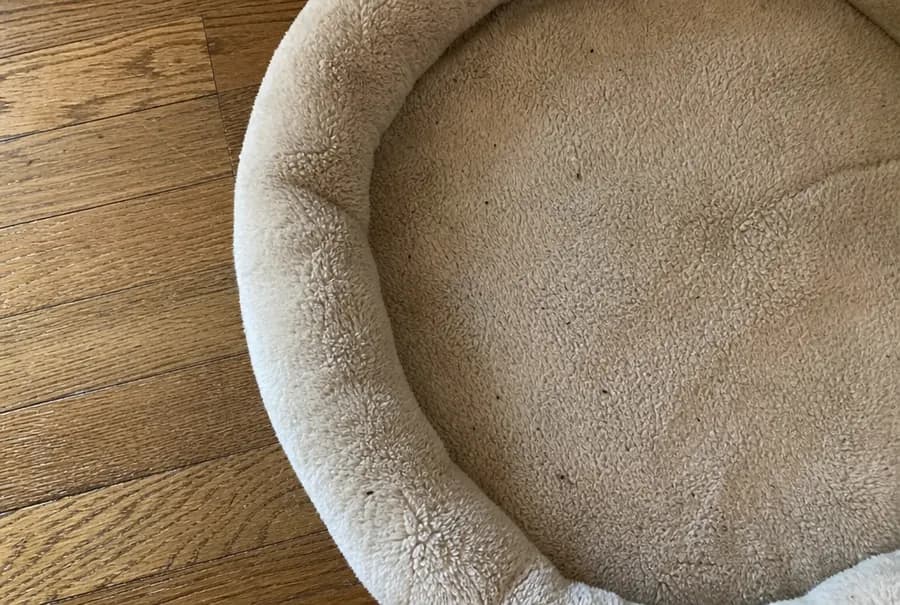 A few tiny dark specks scattered in the fleece of a tan dog bed