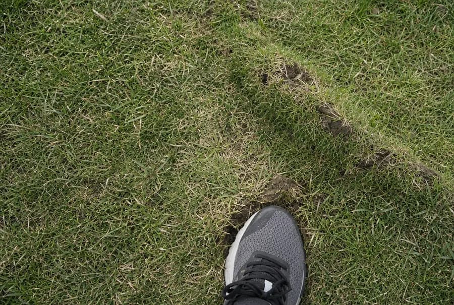 A shoe pressed into a soft, slightly sunken patch of turf along a raised ridge