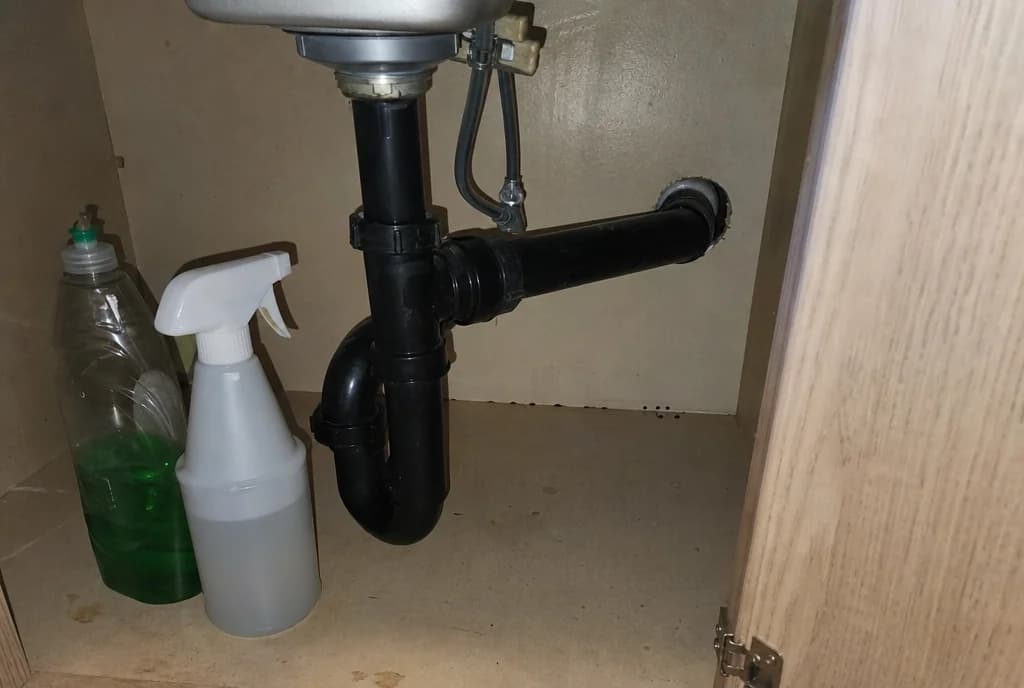 A few mouse droppings on the floor of an under-sink cabinet near the gap where the pipes enter the wall