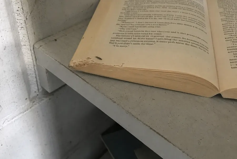 A paperback book with scraped and chewed pages from silverfish