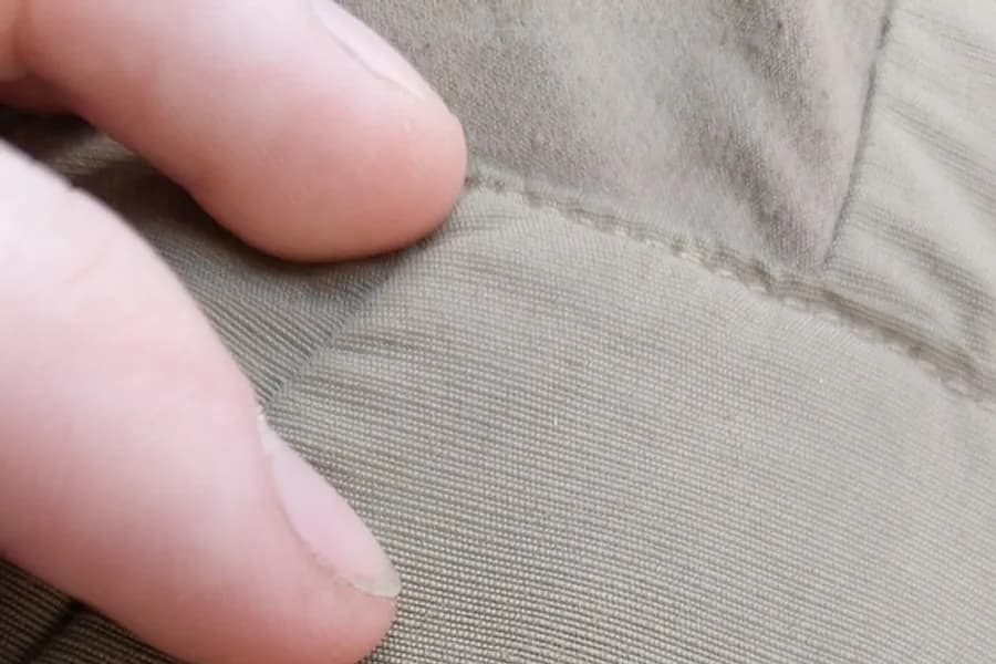 Blacklegged tick, Ixodes scapularis