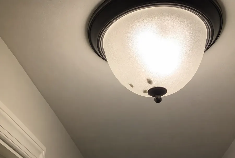 The dark shapes of two or three dead stink bugs in the bottom of a frosted ceiling light globe