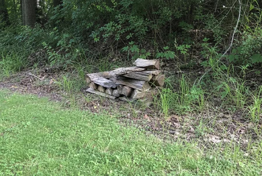 A small woodpile against brush with old leaf litter and long grass around it at the edge of a lawn